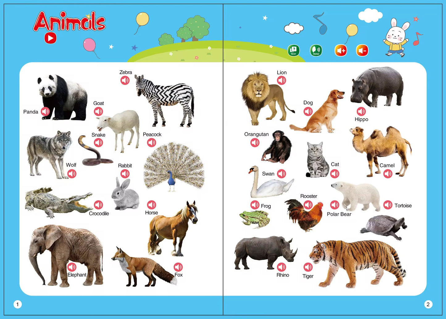 English Talking Sound Book