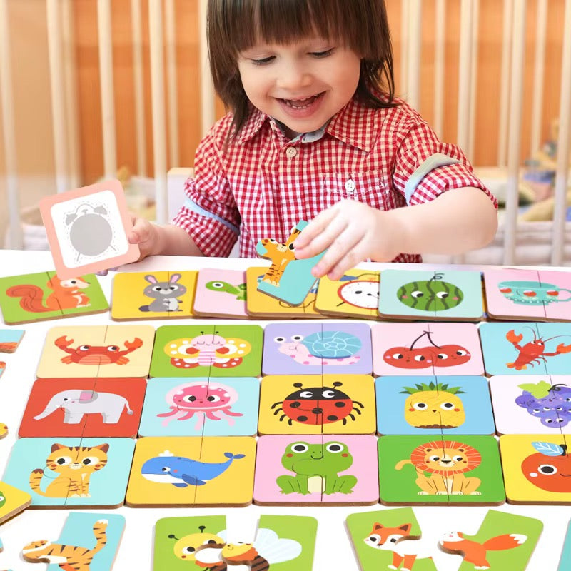 Animal Shadow Matching Card Game