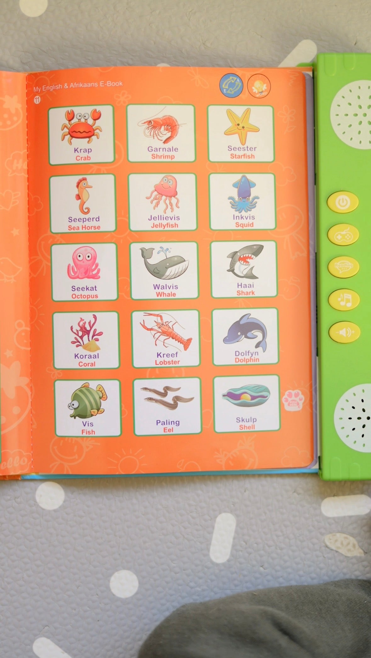 My English & Afrikaans Sound Book